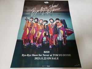 【BiSH】Bye-Bye Show for Never at TOKYO DOME 最新告知ポスター