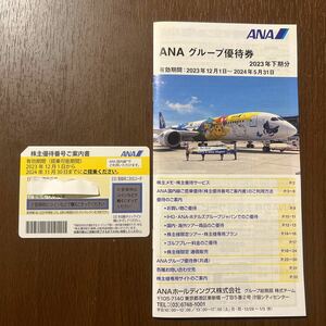 ANA 株主 券 全日空 グループ 冊子 チケット 乗車券 jal 飛行機 旅行 出張