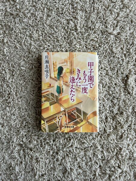 甲子園でもう一度きみに逢えたら