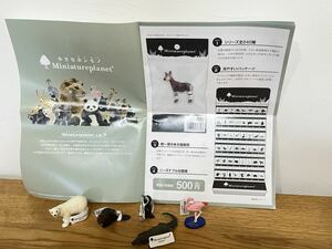 ミニチュアプラネット　エイコー　動物　フィギュア　5個セット　新品　いきもの　 ワニ　シロクマ　フラミンゴ