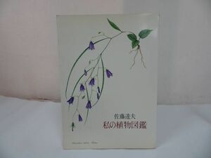 ★【私の植物図鑑《普及版》】佐藤達夫/矢来書院　昭和52年