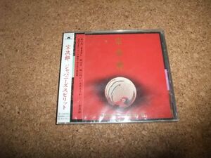 [CD] サ盤 未開封(ビニ破れ・ケースキズ) 1996年盤 宗次郎 ジャパニーズスピリット