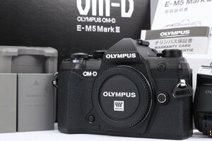 【 極美品 | 動作保証 】 OLYMPUS OM-D E-M5 Mark III ボディ ブラック 【 シャッター数 わずか2900回 | 互換予備バッテリー 追加付属 】