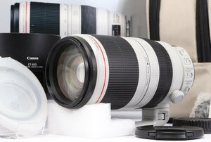 【 美品 | 動作保証 】 Canon EF100-400mm F4.5-5.6L IS II USM 【 レンズプロテクター 追加付属 】