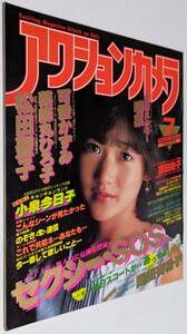 アクションカメラ 1984年 富田靖子 可愛かずみ 松田聖子 中森明菜 薬師丸ひろ子 小川菜摘 財前直見 松本奈美子 りぼん