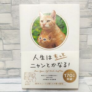 人生はもっとニャンとかなる！ 明日にもっと幸福をまねく68の方法 水野敬也 長沼直樹 文響社