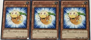 遊戯王 ノーマル 効果モンスター 3枚セット ダニポン PR01