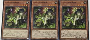 遊戯王 ノーマル 効果モンスター 3枚セット ジーナの蟲惑魔 LIOV