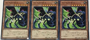 遊戯王 ノーマル 効果モンスター 3枚セット インセクト女王 DP19