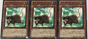 遊戯王 ノーマル 効果モンスター 3枚セット おとぼけオポッサム DREV