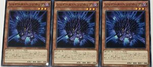 遊戯王 ノーマル 効果モンスター 3枚セット シャドール・ヘッジホッグ DUEA