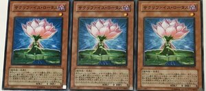 遊戯王 ノーマル 効果モンスター 3枚セット サクリファイス・ロータス PTDN