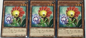 遊戯王 ノーマル 効果モンスター 3枚セット フラボット EP14