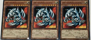 遊戯王 ノーマル 効果モンスター 3枚セット ブルーアイズ・トゥーン・ドラゴン DP16