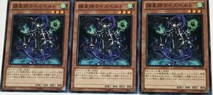 遊戯王 ノーマル 効果モンスター 3枚セット 調星師ライズベルト LTGY