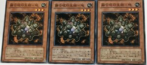 遊戯王 ノーマル 効果モンスター 3枚セット 融合呪印生物-地 EE3