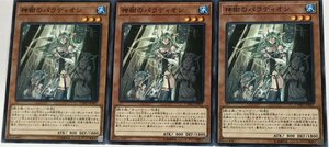 遊戯王 ノーマル 効果モンスター 3枚セット 神樹のパラディオン CYHO