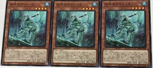 遊戯王 ノーマル 効果モンスター 3枚セット 氷水のティノーラ BODE