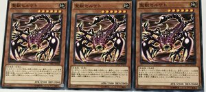 遊戯王 ノーマル 効果モンスター 3枚セット 聖獣セルケト DP17