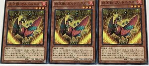 遊戯王 ノーマル 効果モンスター 3枚セット 炎王獣 ガルドニクス LYGY