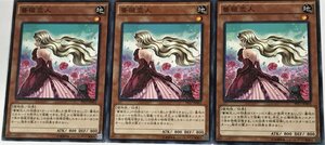 遊戯王 ノーマル 効果モンスター 3枚セット 薔薇恋人 PP17