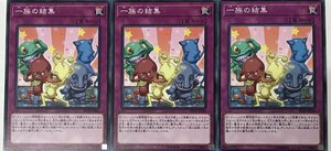 遊戯王 ノーマル 罠 3枚セット 一族の結集 EP18