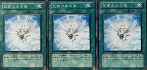 遊戯王 ノーマル 魔法 3枚セット 至高の木の実 RGBT