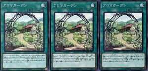 遊戯王 ノーマル 魔法 3枚セット アロマガーデン LVP1