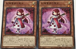 遊戯王 効果モンスター ノーマル 2枚セット 紅蓮薔薇の魔女 LIOV