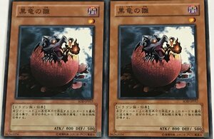 遊戯王 ノーマル 効果モンスター 2枚セット 黒竜の雛 SOD