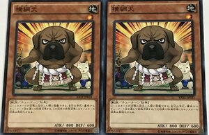 遊戯王 ノーマル 効果モンスター 2枚セット 横綱犬 RATE