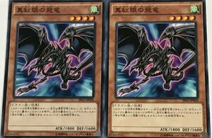 遊戯王 ノーマル 効果モンスター 2枚セット 真紅眼の飛竜 SR02