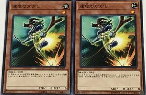 遊戯王 ノーマル 効果モンスター 2枚セット 速攻のかかし ST17