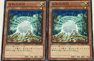 遊戯王 ノーマル 効果モンスター 2枚セット 伝説の白石 SD25