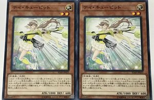 遊戯王 ノーマル 効果モンスター 2枚セット テイ・キューピット IGAS