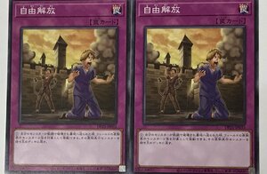 遊戯王 ノーマル 罠 2枚セット 自由解放 DP25