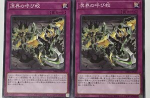 遊戯王 ノーマル 罠 2枚セット 溟界の呼び蛟 DBAG