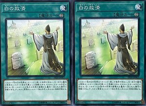 遊戯王 ノーマル 魔法 2枚セット 白の救済 PP20