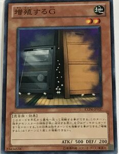 遊戯王 効果モンスター ノーマル 1枚 増殖するG EXP4