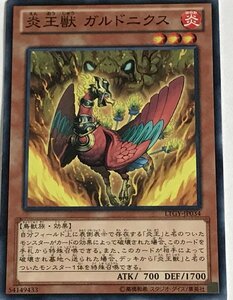 遊戯王 ノーマル 効果モンスター 1枚 炎王獣 ガルドニクス LYGY