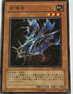 遊戯王 ノーマル 効果モンスター 1枚 共鳴虫 SOD