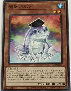 遊戯王 ノーマル 効果モンスター 1枚 魔知ガエル SD40