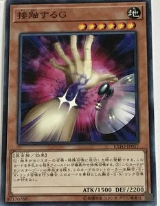 遊戯王 ノーマル 効果モンスター 1枚 接触するG EXFO