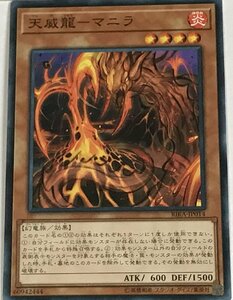 遊戯王 ノーマル 効果モンスター 1枚 天威龍-マニラ RIRA