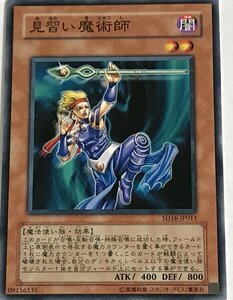 遊戯王 ノーマル 効果モンスター 1枚 見習い魔術師 SD16