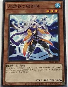 遊戯王 ノーマル 効果モンスター 1枚 氷結界の破術師 SD40