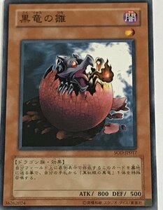 遊戯王 ノーマル 効果モンスター 1枚 黒竜の雛 SOD