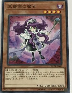 遊戯王 ノーマル 効果モンスター 1枚 黒薔薇の魔女 DP21