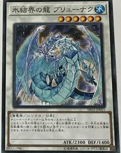 遊戯王 ノーマル シンクロ 1枚 氷結界の龍 ブリューナク SSD2