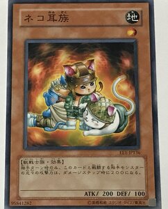 遊戯王 ノーマル 効果モンスター 1枚 ネコ耳族 EE1